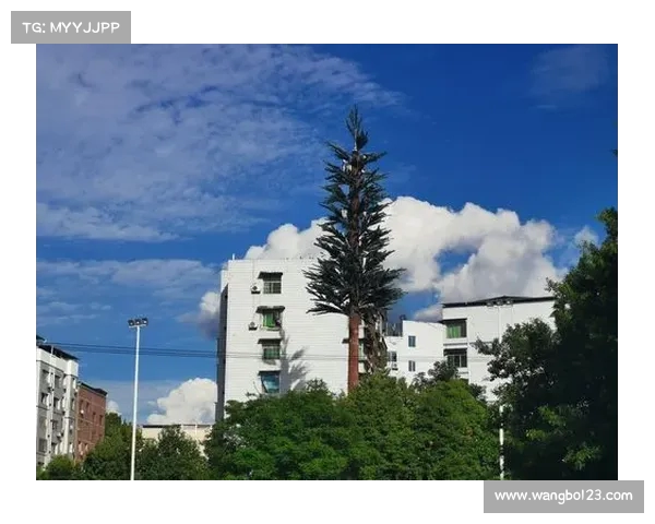 欧洲超级杯历史回顾与未来展望:顶级俱乐部之间的荣耀之争 欧洲超级杯历史回顾与未来展望:顶级俱乐部之间的荣耀之争