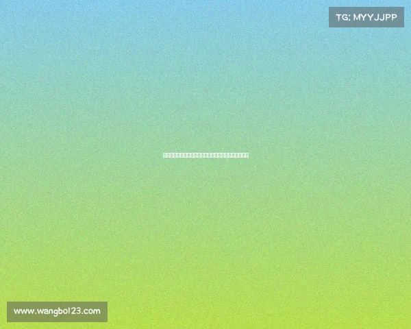 迪马济奥：罗马难以满足狼队对法比奥席尔瓦的高额要价